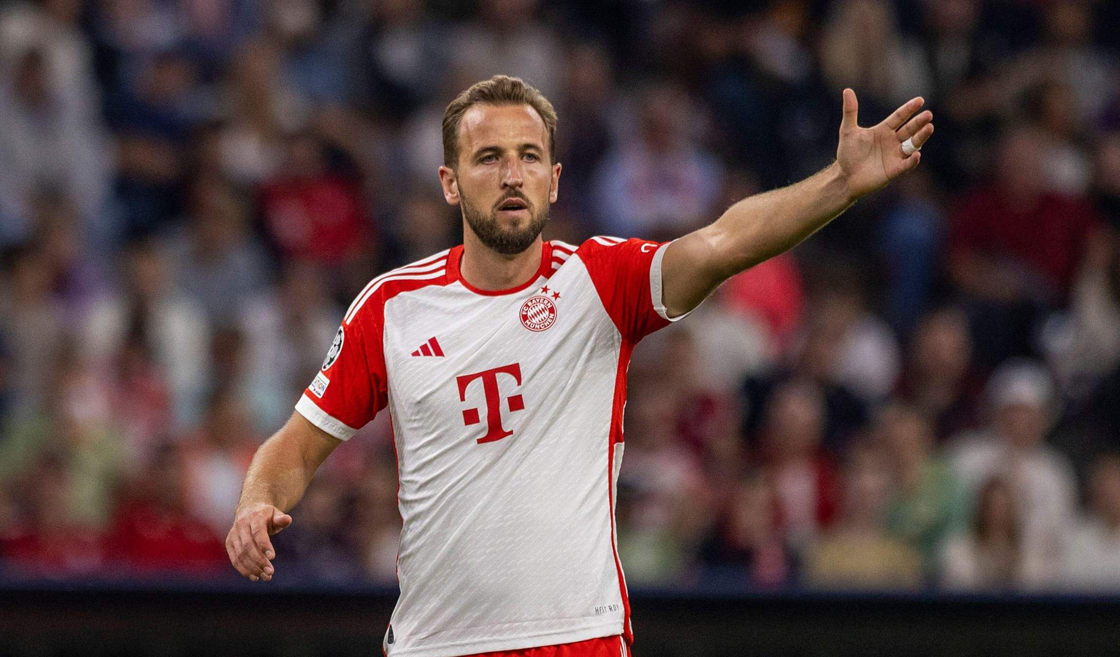  凯恩最新助攻进球 九游体育入口